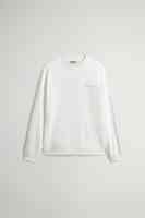 Arctic White