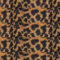 Beige Ghepard